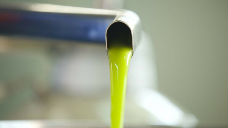 Extra Virgin Olive Oil coming from the press