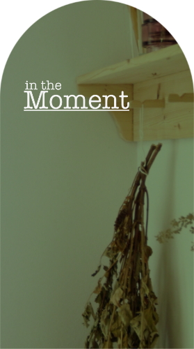 In the Moment